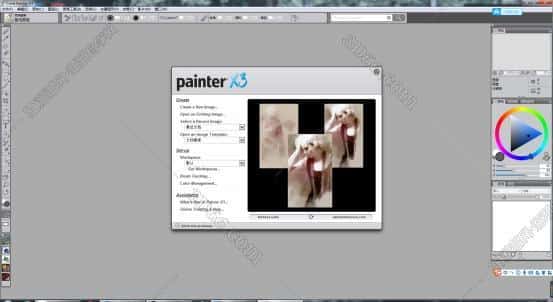 corel painter x3【painter x3中文版】中文破解版安装图文教程、破解注册方法