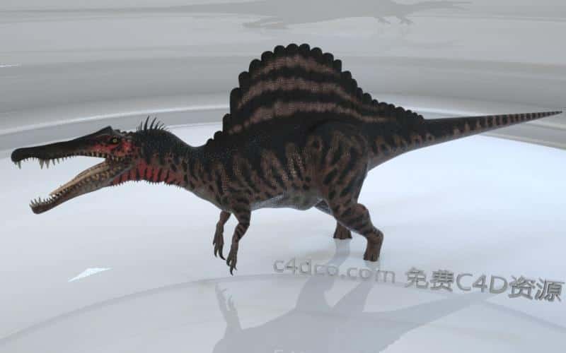 spinosaurus棘龙.jpg