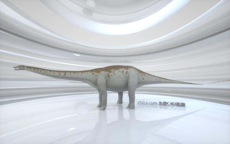 apatosaurus 迷惑龙.jpg