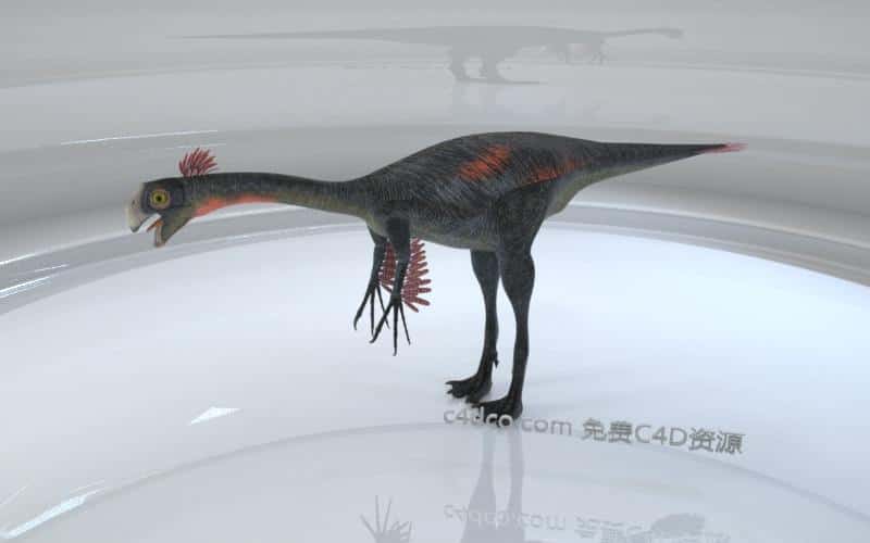 gigantoraptor二连巨盗龙.jpg