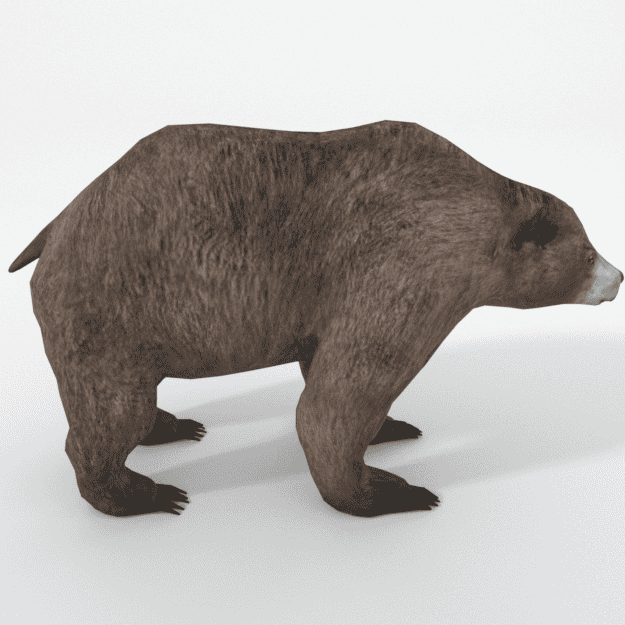 grizzly bear.png