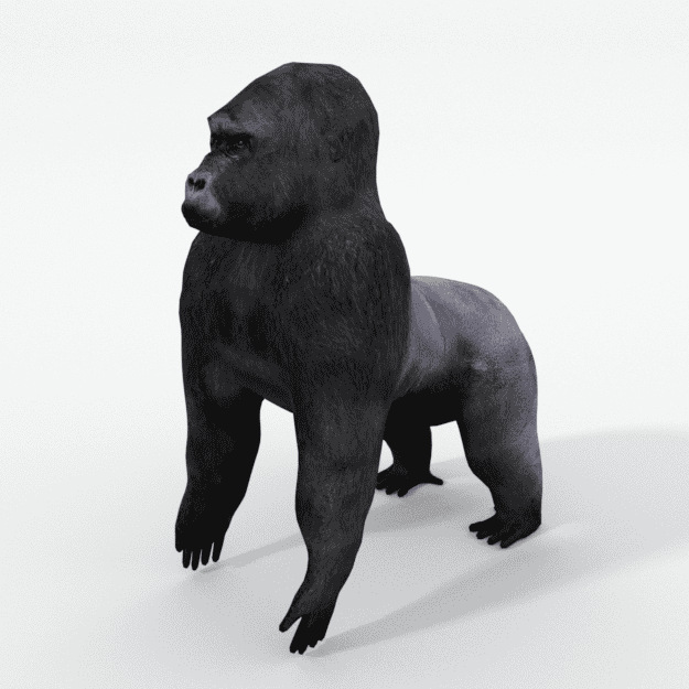 gorilla.png