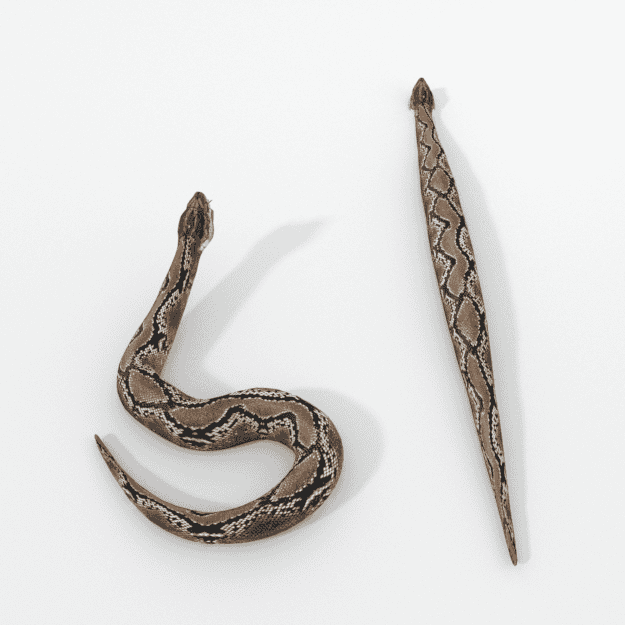 python snake.png