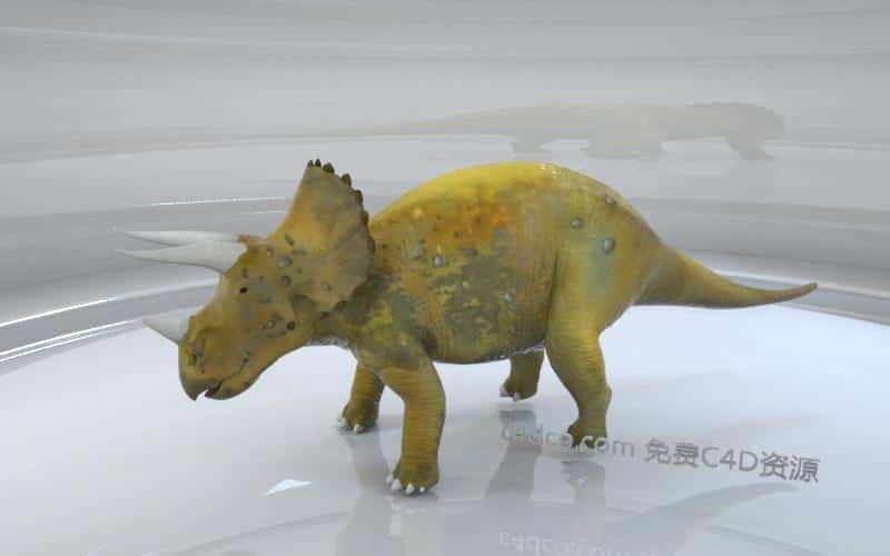 triceratops三角龙.jpg