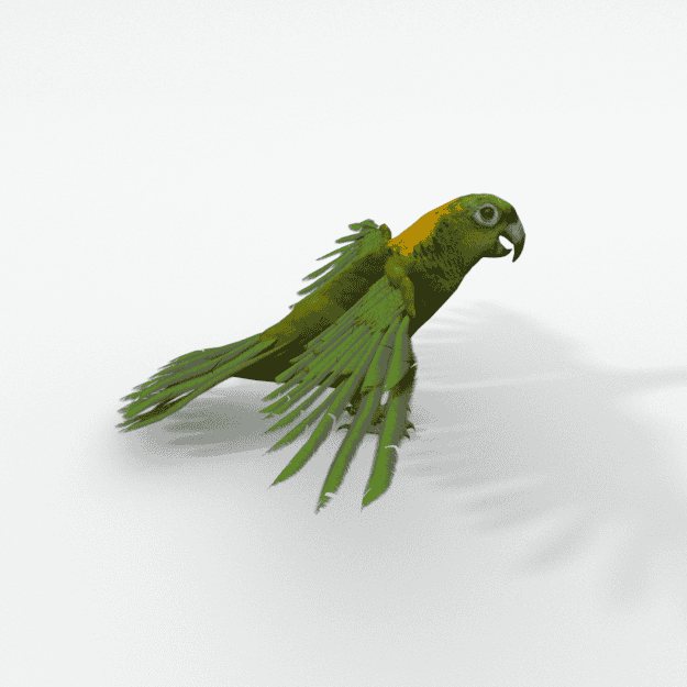 greenparrot.png